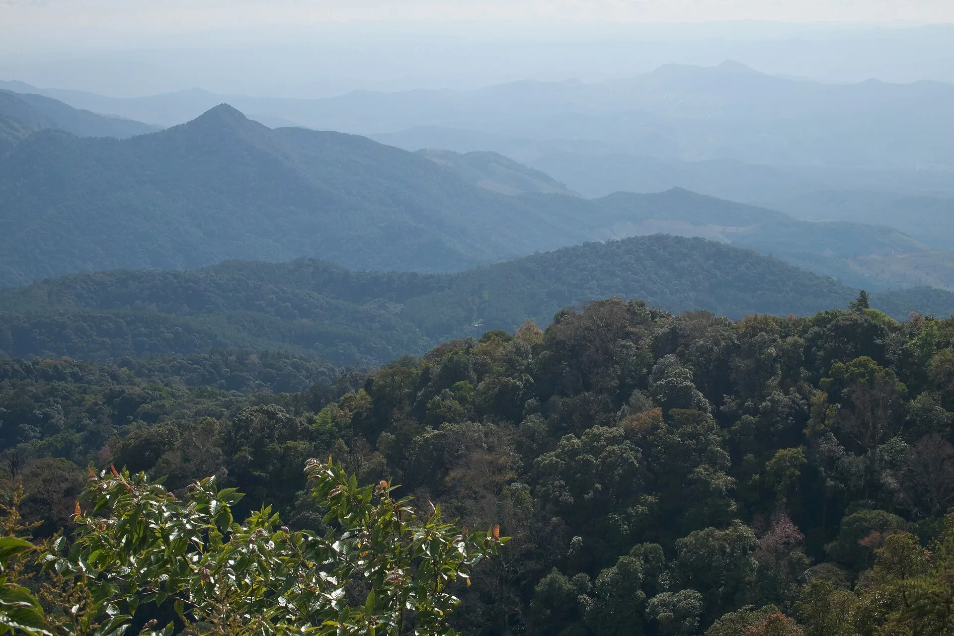 Doi Inthanon : la plus haute montagne de Thaïlande